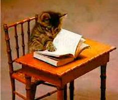 Book Sale Bakersfield SPCA