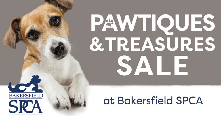 Pawtiques